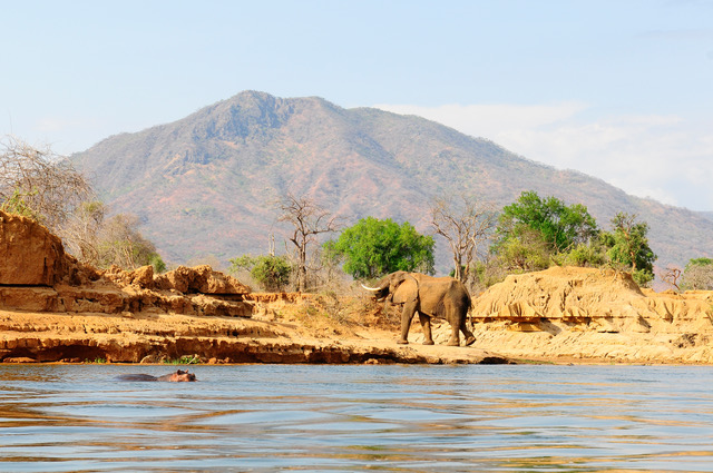 Visit Zambia, Lower Zambezi