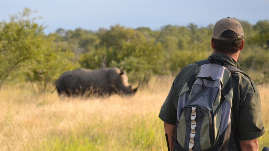 Kruger On Foot Walking Safaris