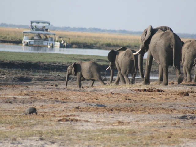 Chobe River Front