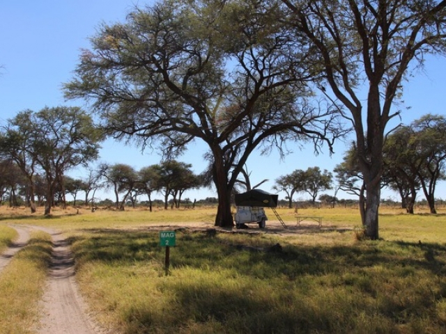 Magotho Camspite, Khwai Community Trust