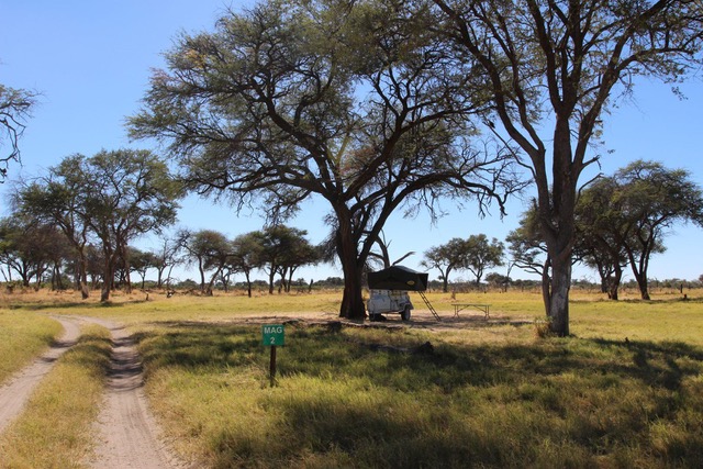 Magotho Community Campsite, Khwai Community Concession, Botswana
