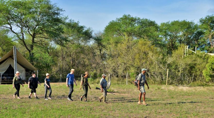 Kruger On Foot Walking Safaris