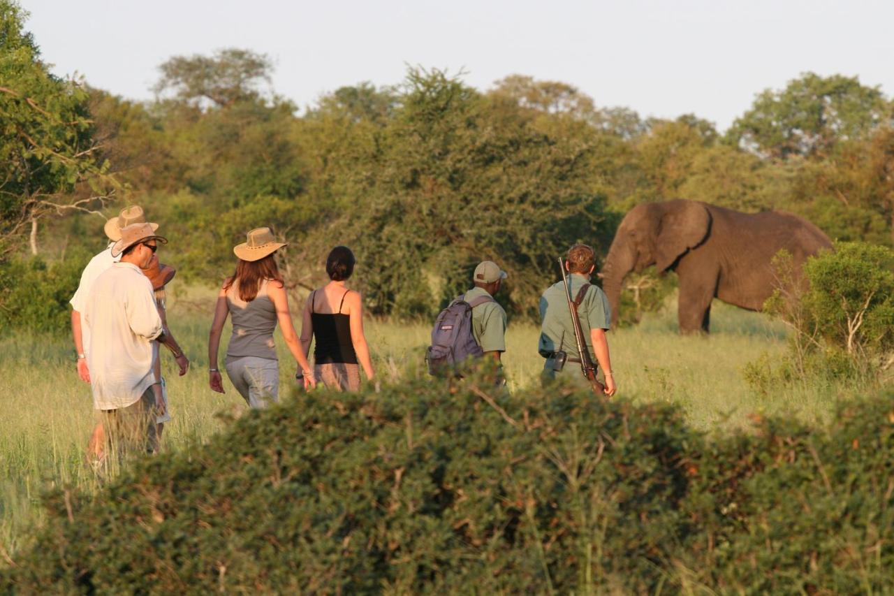 Kruger On Foot, South Africa Tours and Packages