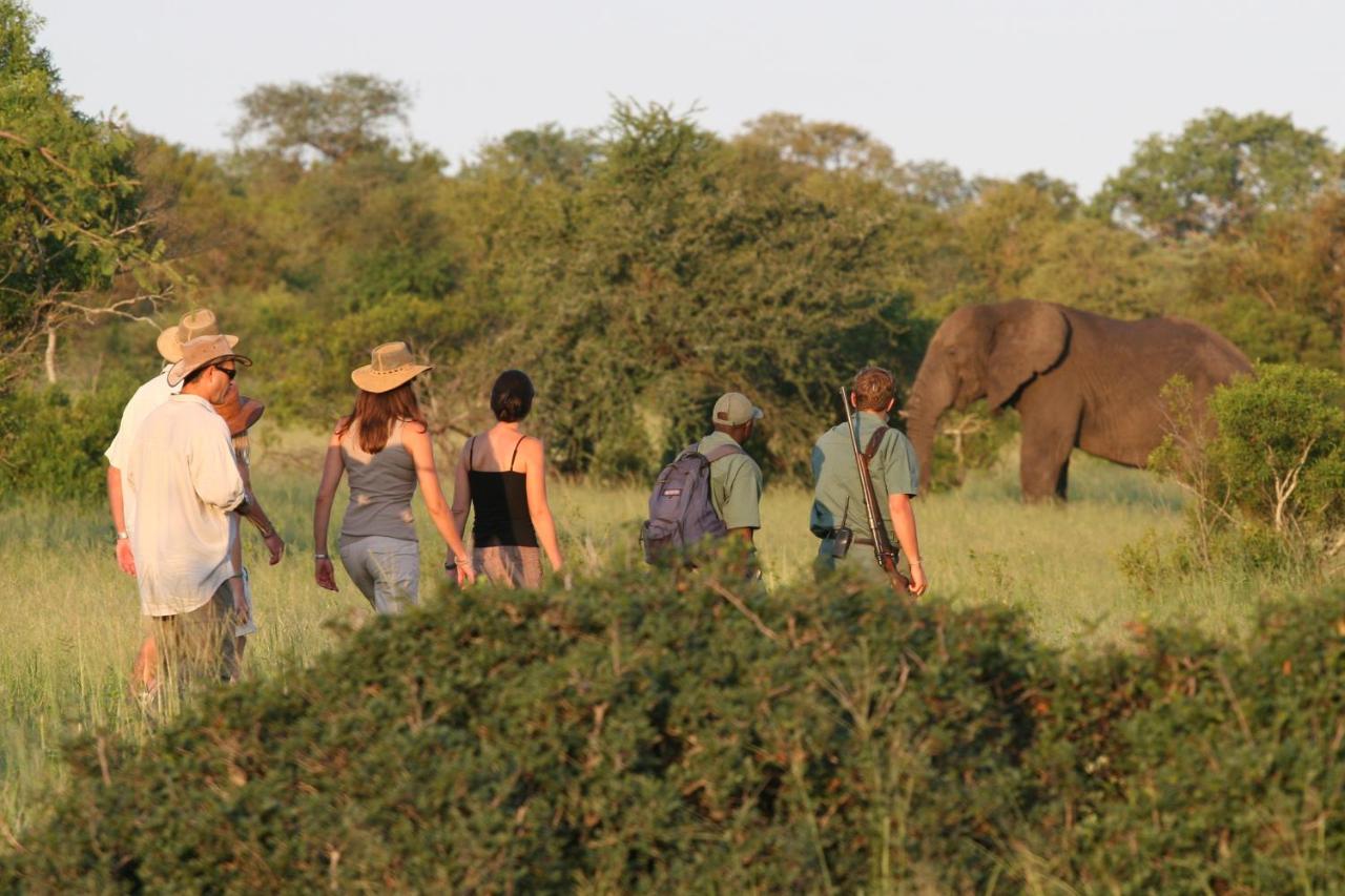 Kruger On Foot