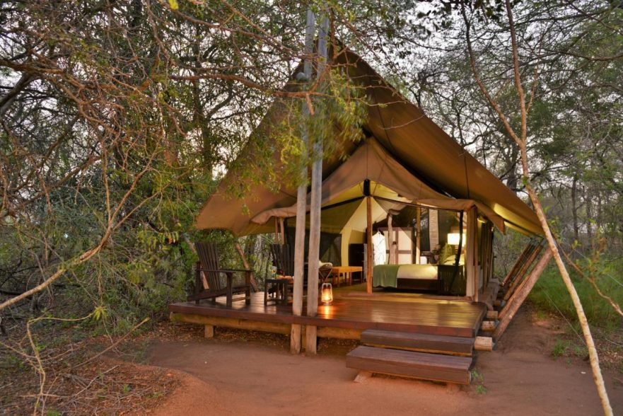 Rhino Post Plains Camp, Safari Tent, Southern Kruger