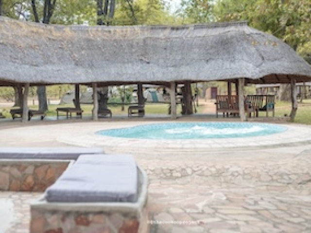 Wildlife Camp Pool, South Luangwa Zambia