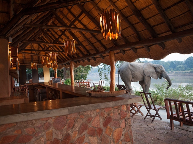 Track & Trail River Camp, South Luangwa, Bar overlooking the Luangwa River