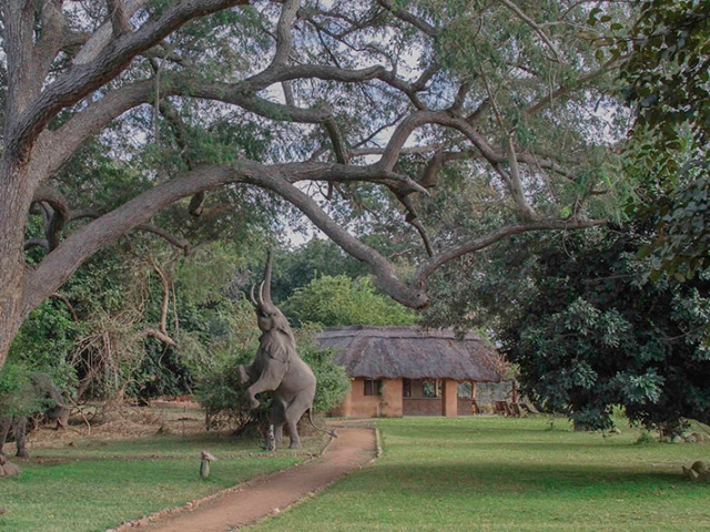 Track & Trail River Camp, South Luangwa