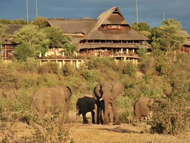 Victoria Falls Safari Lodge, Victoria Falls (Upgrade)