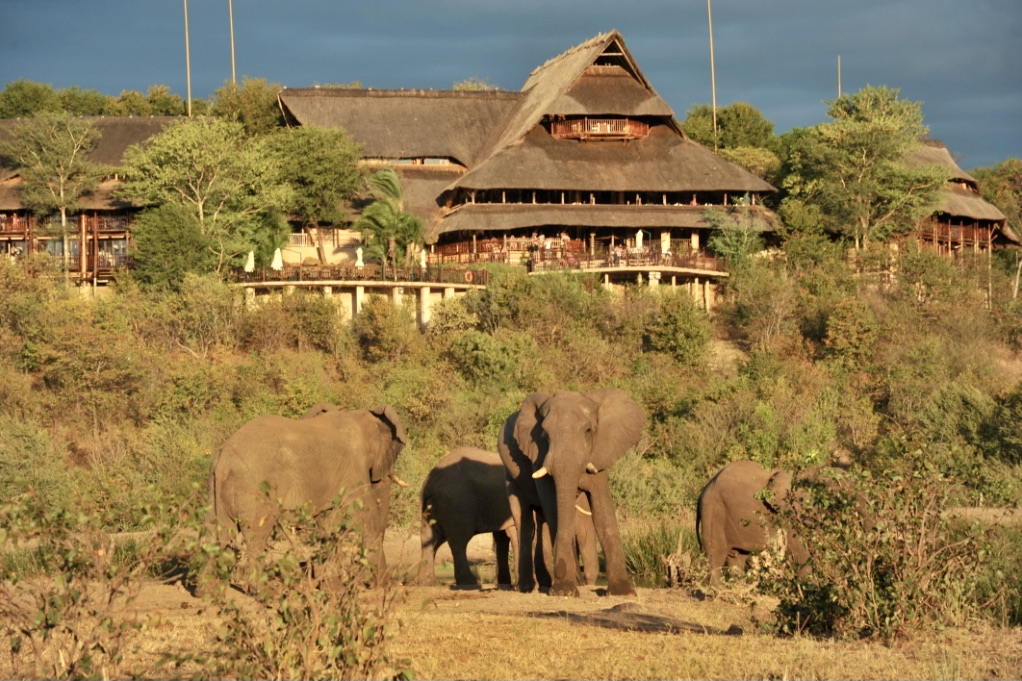 Victoria Falls Safari Lodge, Waterhole, Zimbabwe