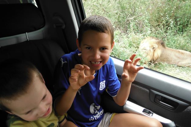 Kids in Kruger National Park with a lion