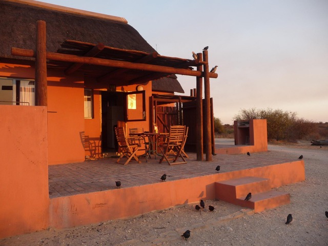 Magic of the Kalahari - Nossob Rest Camp, Kgalagadi, Chalet