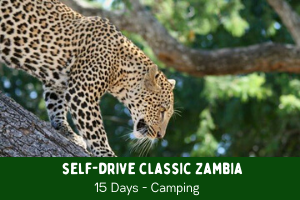 Self Drive Zambia camping