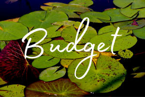 The word budget on background of waterlily leaves from the Okavango Delta, Botswana