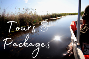 The words 'tour and packages' set over a boat cruise on the Okavango Delta waterways, Botswana