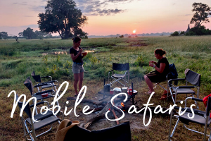 The words 'mobile safari' set over two people have breakfast around a campfire as the sun rises in the Okavango Delta