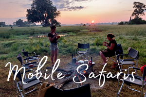 Mobile Safaris in Southern Africa