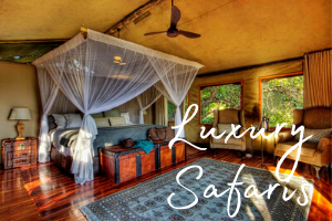 The inside of a tented safari lodge's decadent room