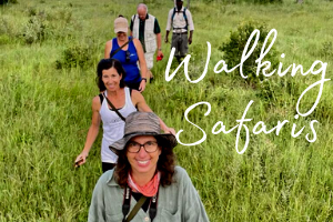 The words 'walking safari's set over 5 people walking through the bush in Southern Africa