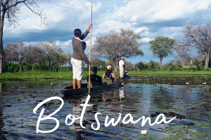Going for an idyllic mokoro ride on the wetlands of Botswana's Okavango Delta