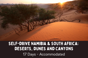 Self drive Namibia and South Africa itinerary - deserts, dunes and canyons - sunset over thr red dunes of Sossusvle