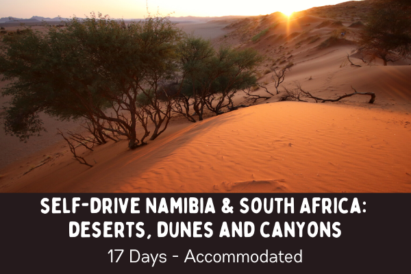 Self drive Namibia and South Africa itinerary - deserts, dunes and canyons - sunset over thr red dunes of Sossusvle