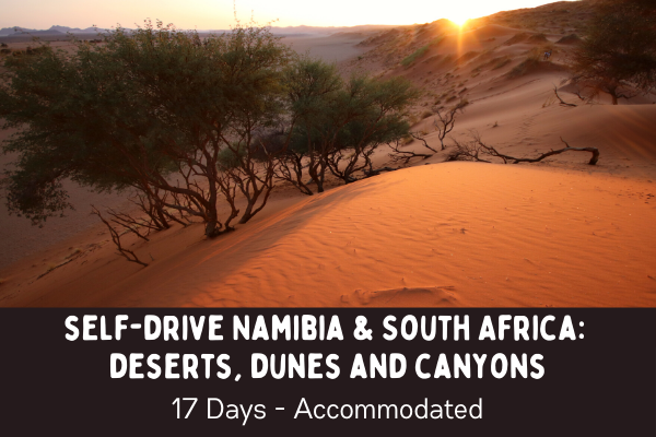 A stunning organe sunset over the red dunes of Sossuvlei, Self drive Namibia and South Africa: Deserts, dunes and canyons