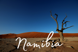 The photogenic desert landscape of Dead Vlei in Sossusvlei, Namibia