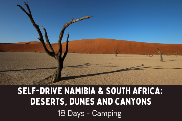 The stark landscape of Dead Vlei with its red dune backdrop and dead tree on a white salt pan - self drive Namibia and South Africa - Deserts, dunes and canyons