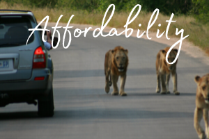 The word 'affordability' set over a photo of lion walking next to a self drive vehicle in Kruger National Park, South Africa