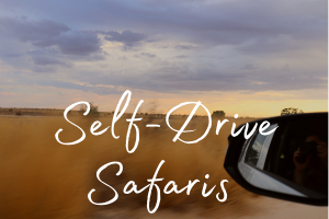 The words 'self-drive safari's set over a car driving through the Kalahari Desert landscape, South Africa