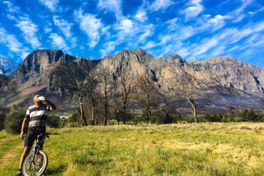 Winelands Bicycle Tour
