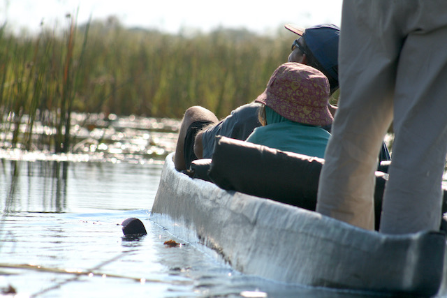 Ultimate Southern Africa Family Magic Okavango Delta