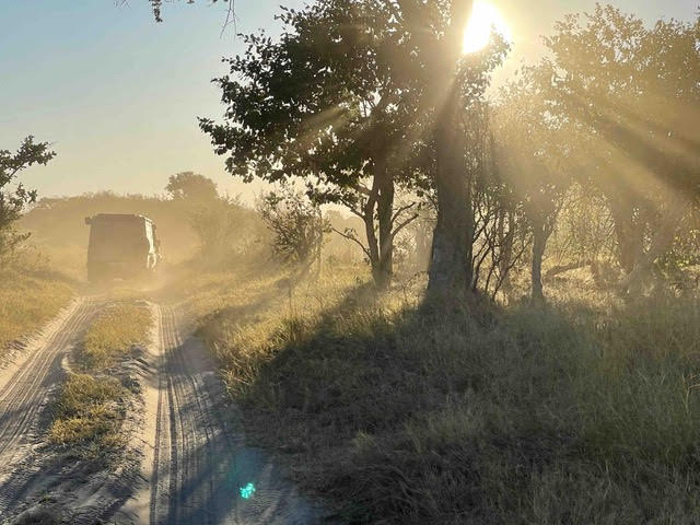 Self-driving through Chobe, Botswana with the sun streaming through the trees