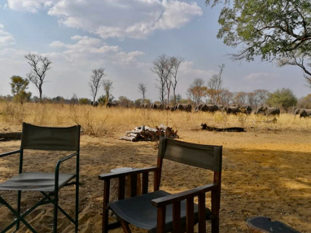 Camp Silwane with elephants in the background