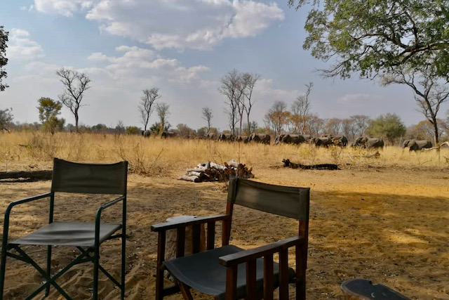 Camp Silwane with elephants in the background