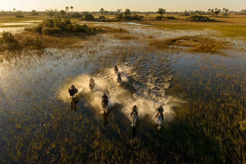 African Horseback Safaris, Okavango Delta