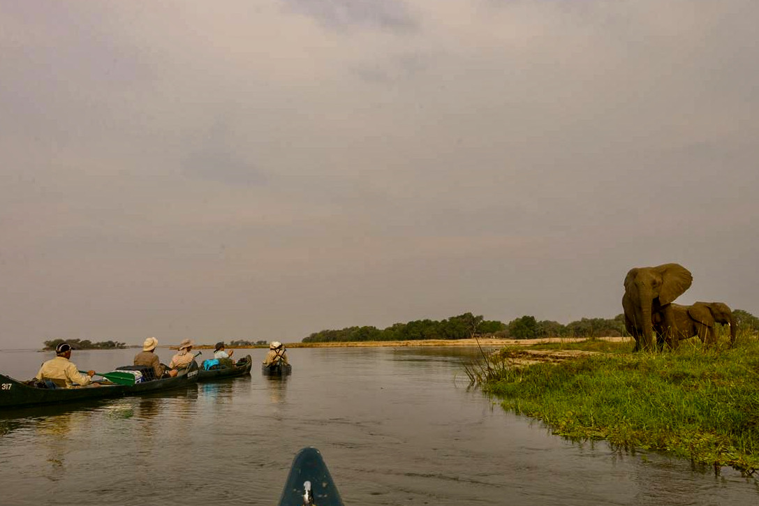 Canoe Safari on the Zambezi River, Zimbabwe