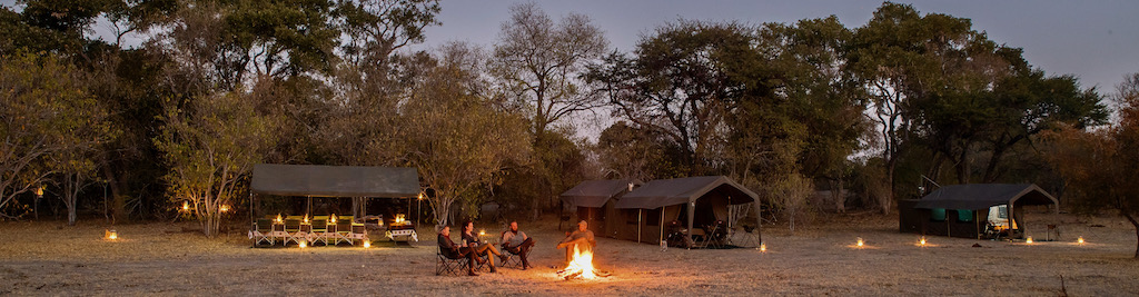 Guided safari Botswana