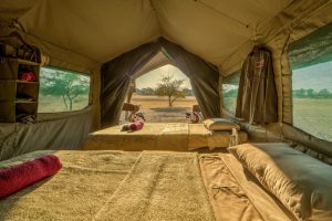 Luxury camping in the heart of nature, Botswana