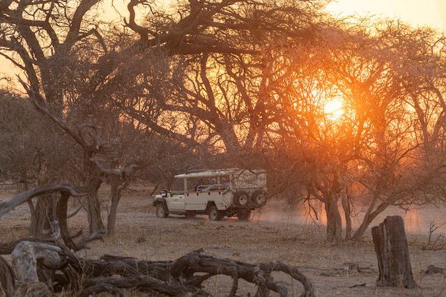 Mobile safari, Botswana