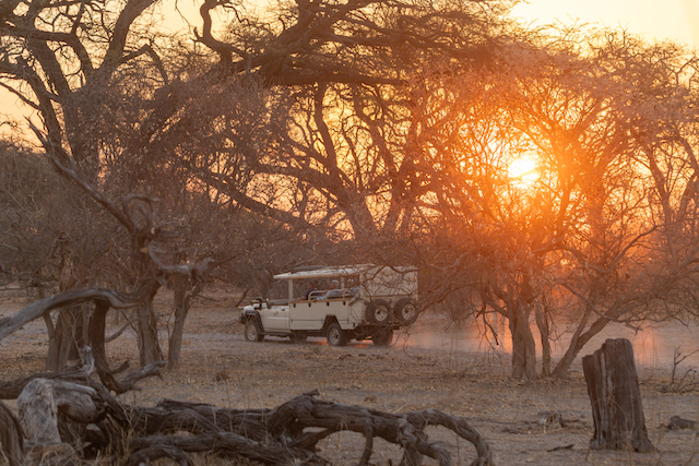 Mobile safari, Southern Africa