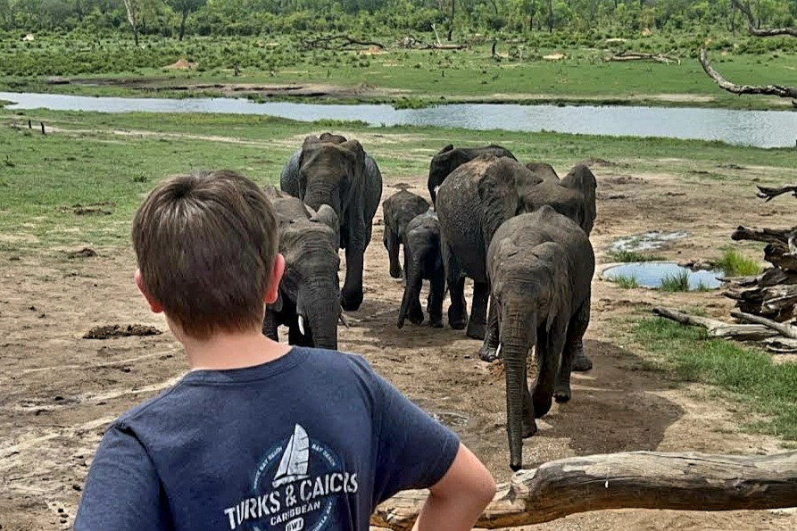 African safari