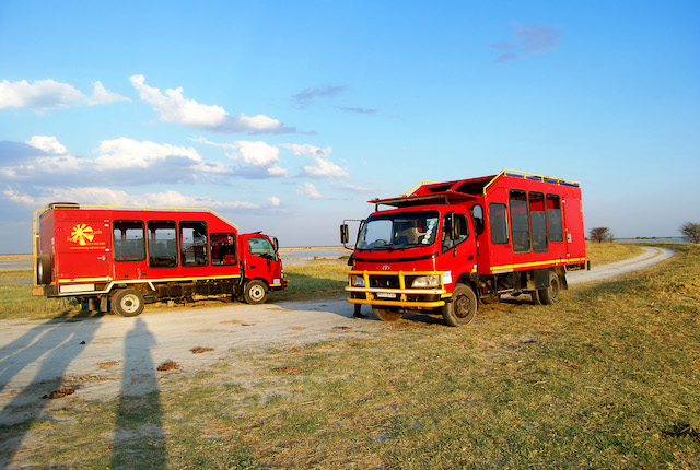 Sunway Namibia Etosha lion and antelope