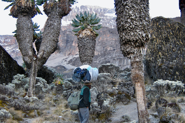 Climb Kilimanjaro