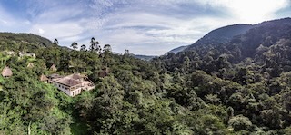 Bwindi Lodge, Uganda