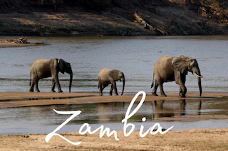 Zambia itineraries, elephants crossing the South Luangwa River