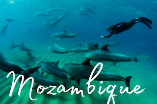 Mozambique Itineraries