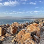Cathryn Photos - Cape Point