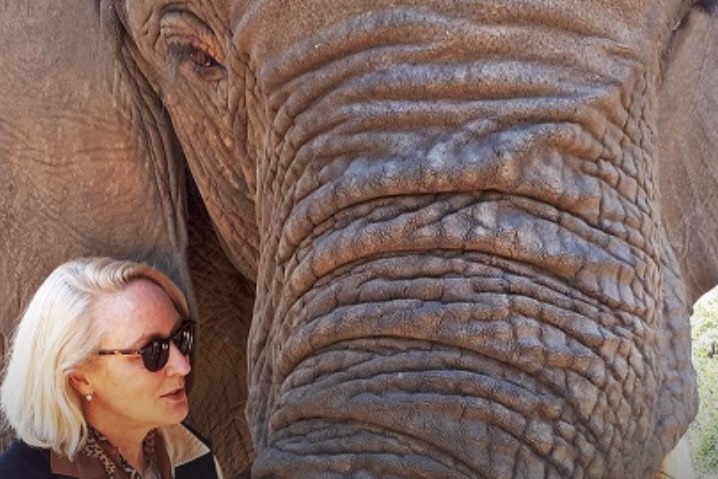 Elephant Whispers, Hazyview